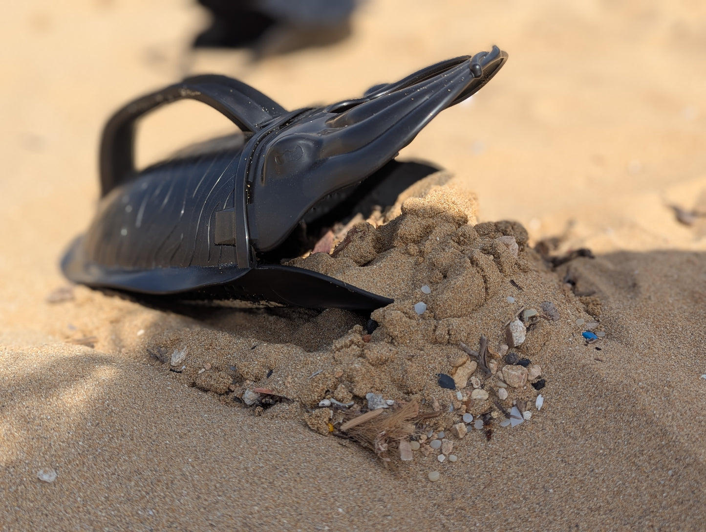 SCUTTLE THE MICROPLASTIC COLLECTING CUTTLE