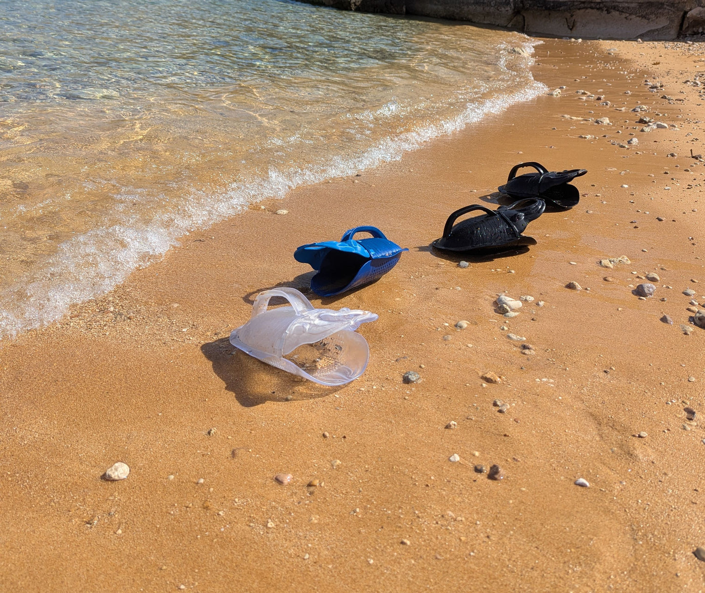 SCUTTLE THE MICROPLASTIC COLLECTING CUTTLE