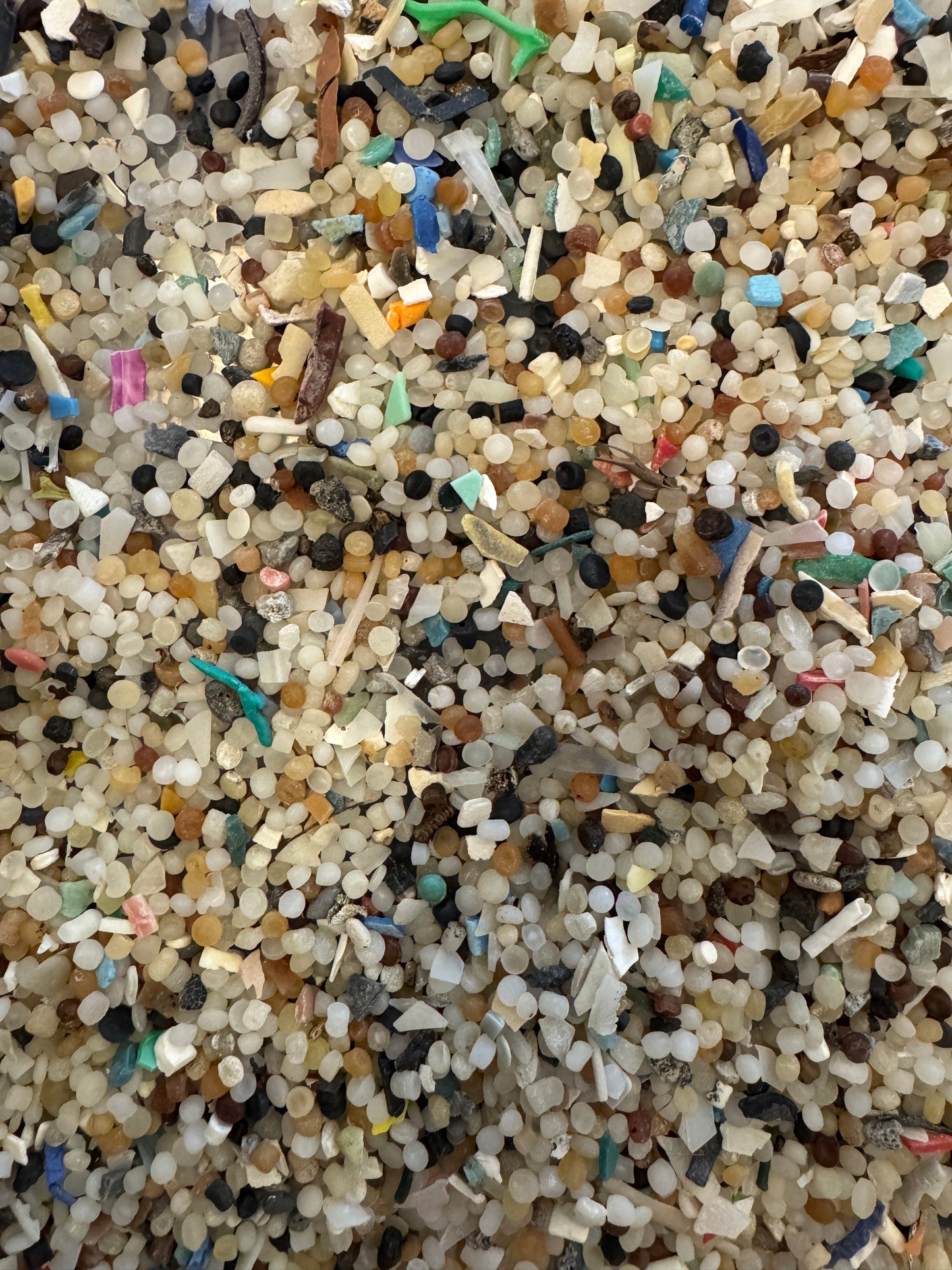 SCUTTLE THE MICROPLASTIC COLLECTING CUTTLE