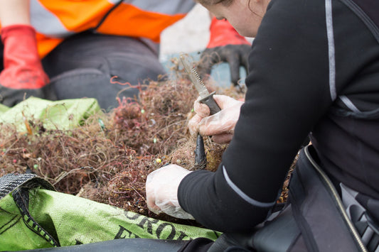 Fishing line recycling bin on a UK beach — part of Odyssey Innovation's marine plastic prevention programme