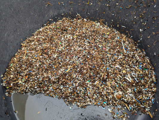 Erasmus students from IND Philippville using Scuttle the Cuttle to collect microplastics on a Mediterranean beach in Malta, May 2026